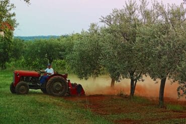 Sélectivité des herbicides agricoles : 4 Types importants !