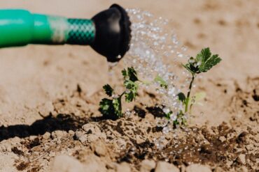 Rétention en eau des sols : améliorer par 3 moyens efficaces
