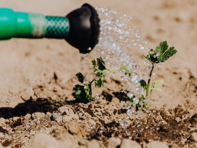 Évaporation d’eau de sol