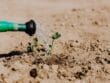 Rétention en eau des sols