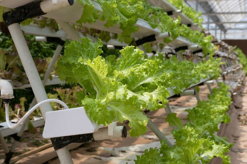 Agriculture verticale