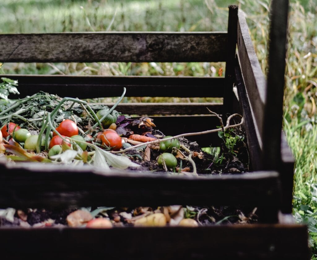 Potager en Juillet