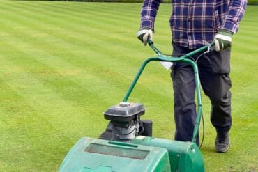 Aération de la pelouse : 6 précautions/conseils essentiels.