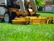 Tonte de la pelouse