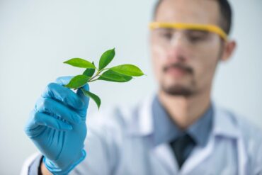 Installation des plantes en agriculture : 6 types importants