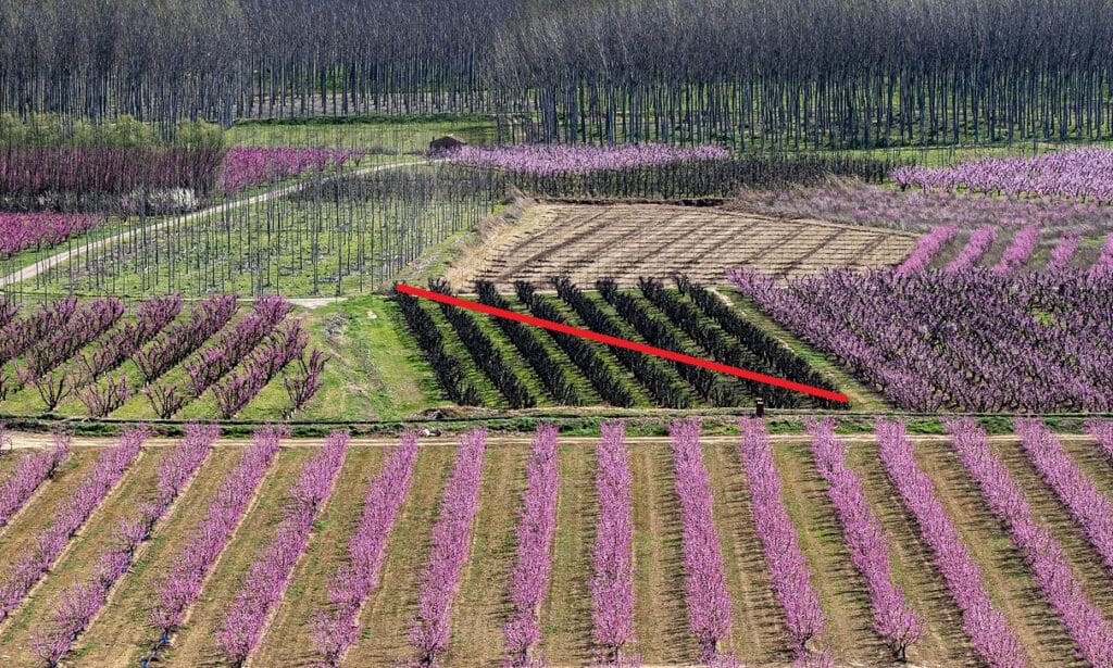 Échantillonnage en Agriculture