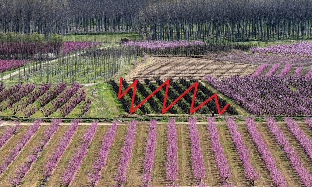 Échantillonnage en Agriculture
