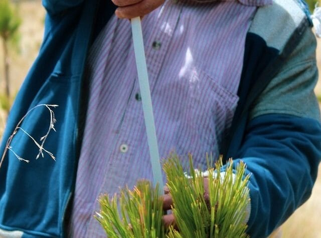 Échantillonnage en Agriculture