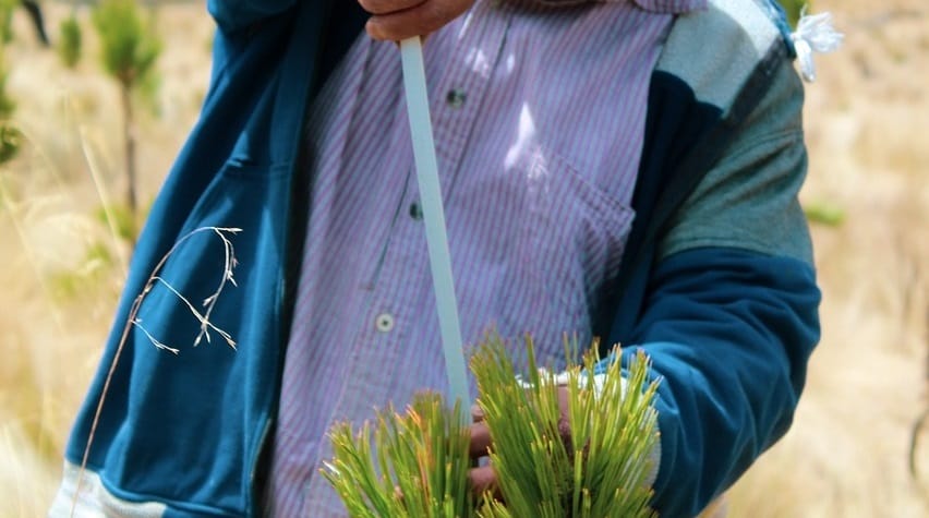 Échantillonnage en Agriculture