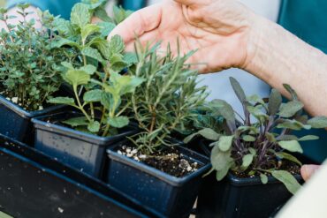 Compatibilité des pesticides : produits à ne jamais mélanger