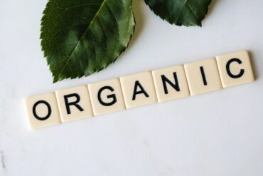 Plantes d&rsquo;intérieur : les 10 exemples essentiels à savoir.