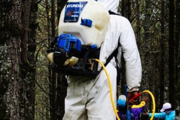 Mollusques phytophages en ornement : 3 luttes efficaces.