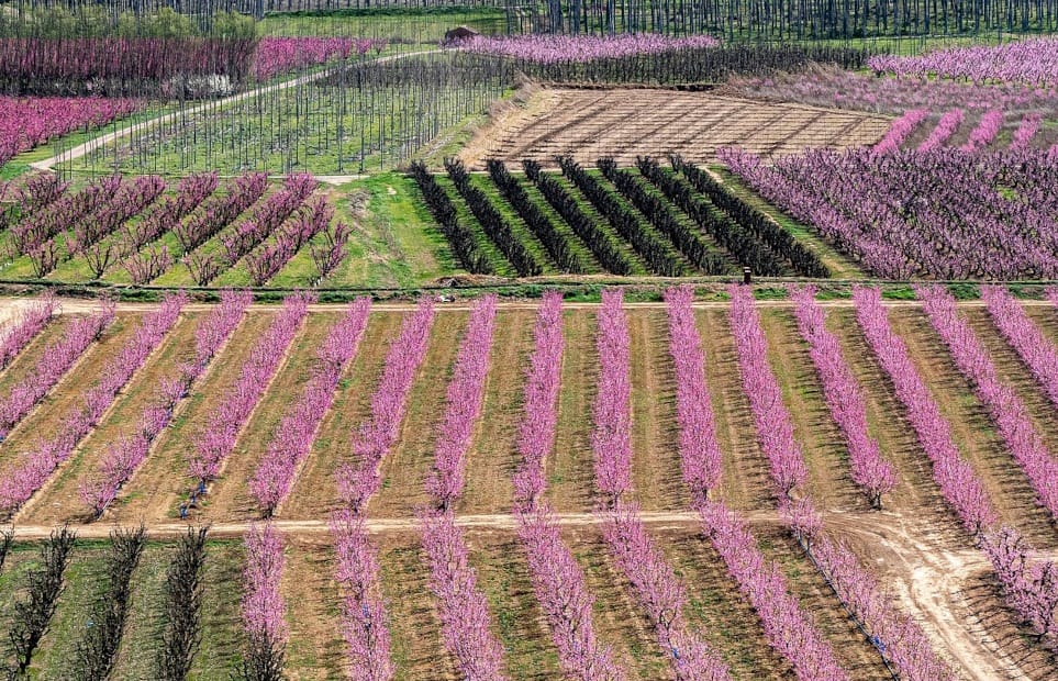 Heures de froid en agriculture