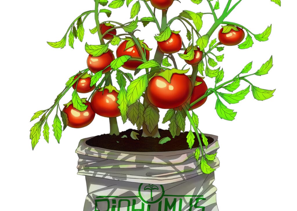 Exportations-fertilisants par cultures