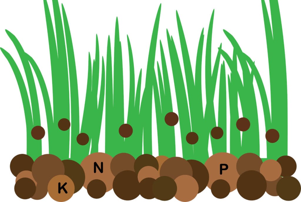 Exportations-fertilisants par cultures