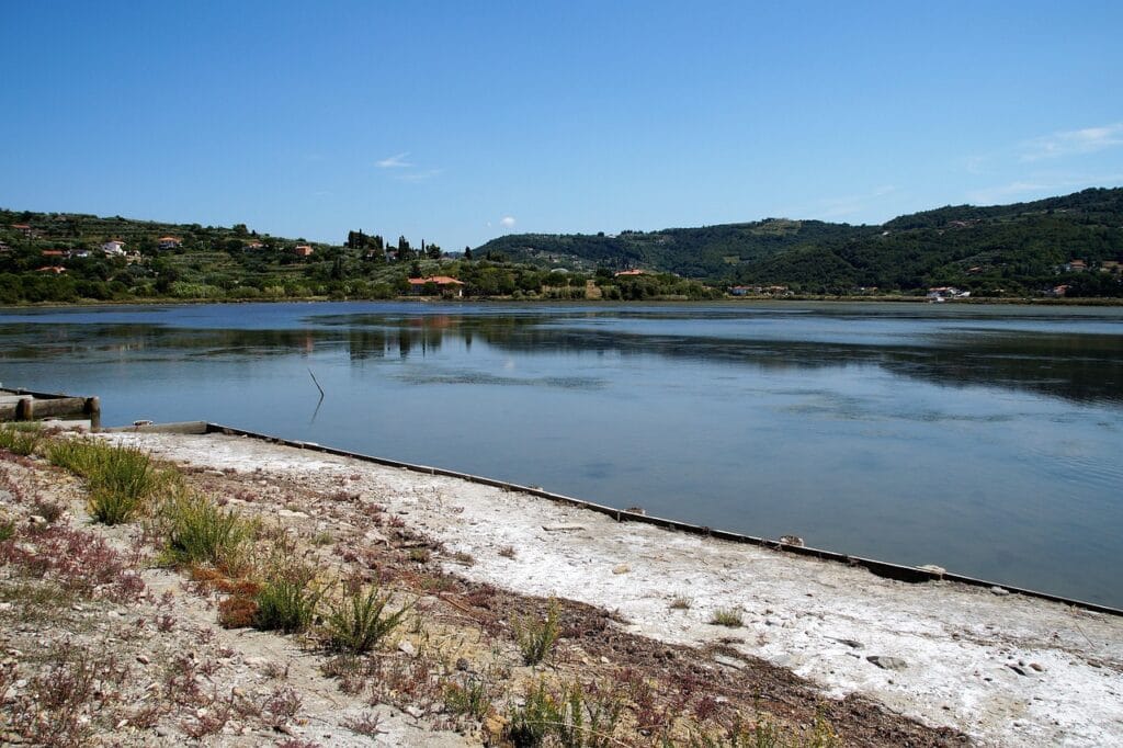 Culture assez sensible à la salinité