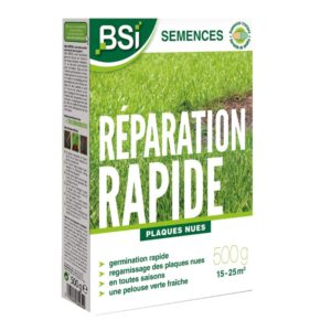 Semences réparation gazon 500gr