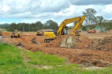 Maladies et ravageurs d’Olivier : 7 importants et principaux