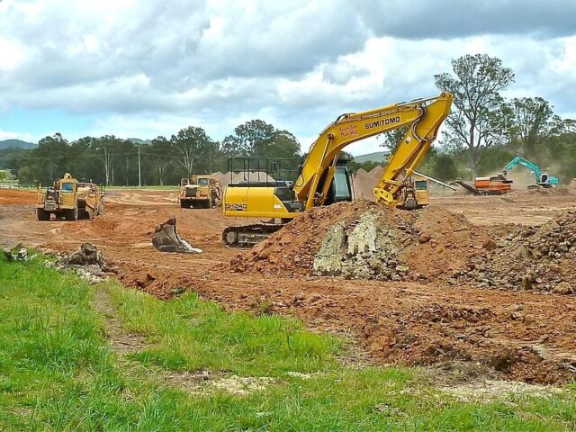 Arbustes adventices en agriculture