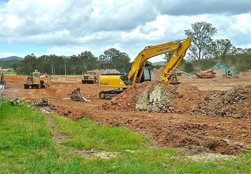 Arbustes adventices en agriculture