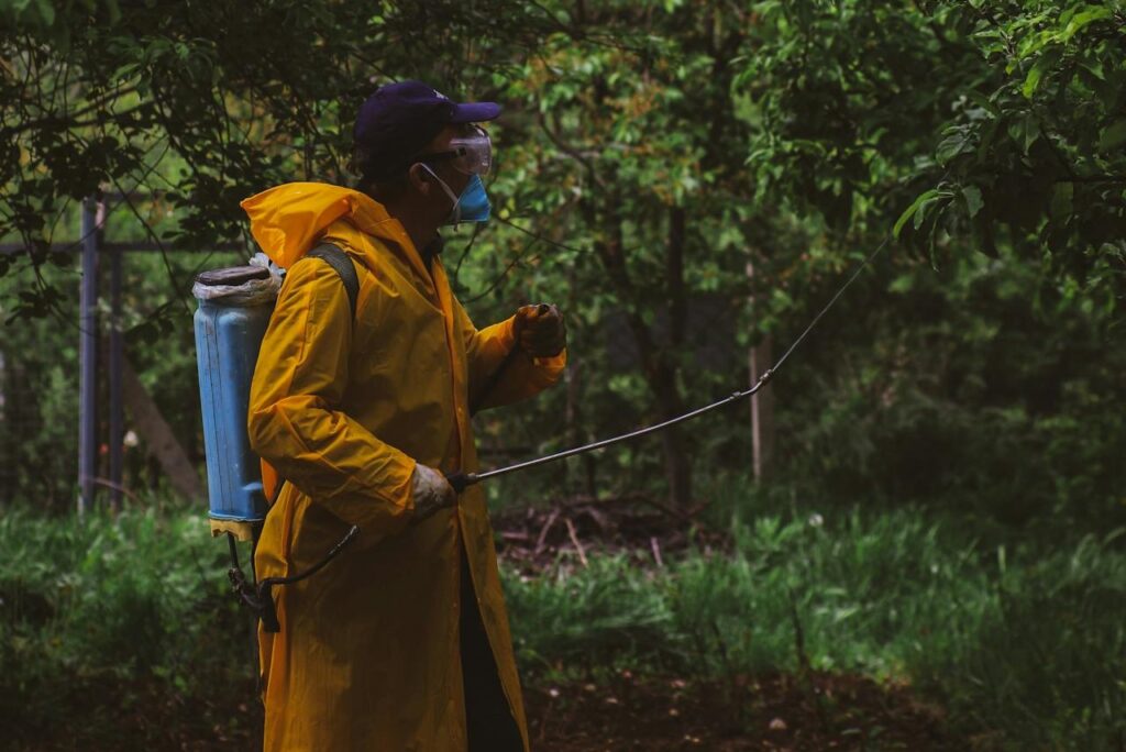 Biostimulants en production végétale