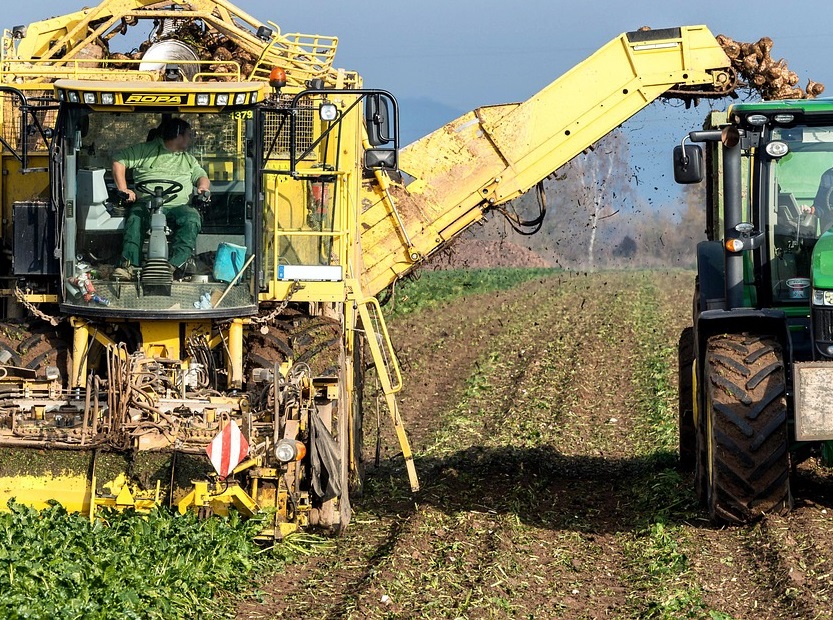 Degré jour en production végétale