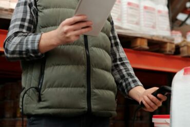 Maladies et ravageurs de Framboisier : 5 les plus importants