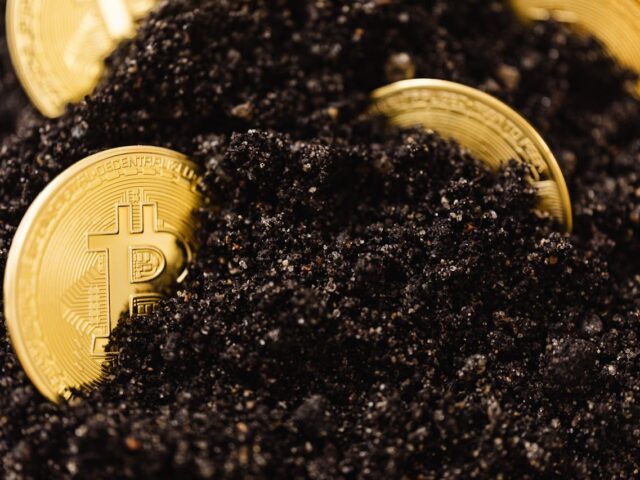 Valeur ajoutée des cultures végétales