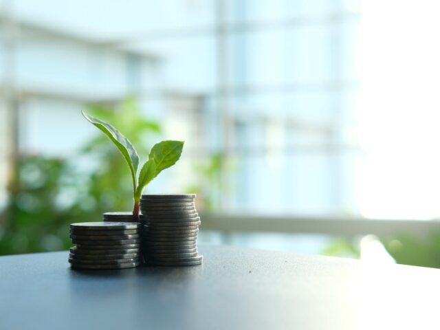 Valeur ajoutée des produits végétales