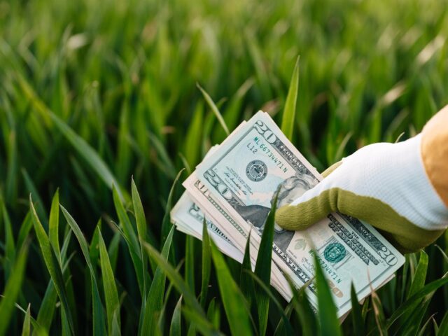 Valeur ajoutée des espèces végétales