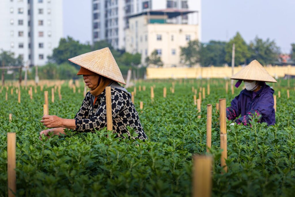 Agriculture urbaine