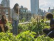 Agriculture urbaine