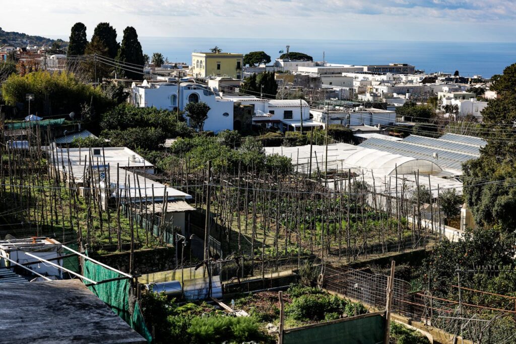 Agriculture urbaine