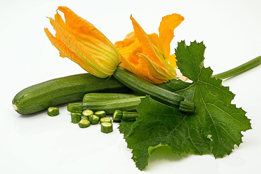 Maladies et ravageurs de la Courgette