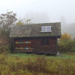 Panneaux solaires : Kits plug and play