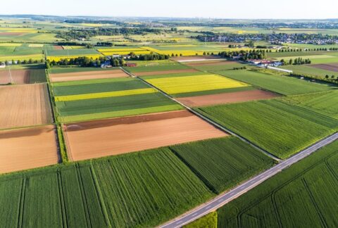 Saisons de production végétale