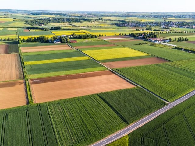 Saisons de production végétale