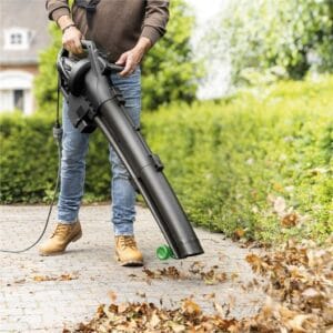 Souffleur à feuilles