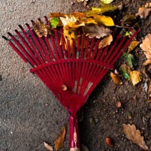 Balai à feuille