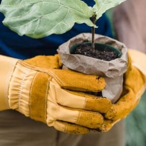 Gants de jardinage