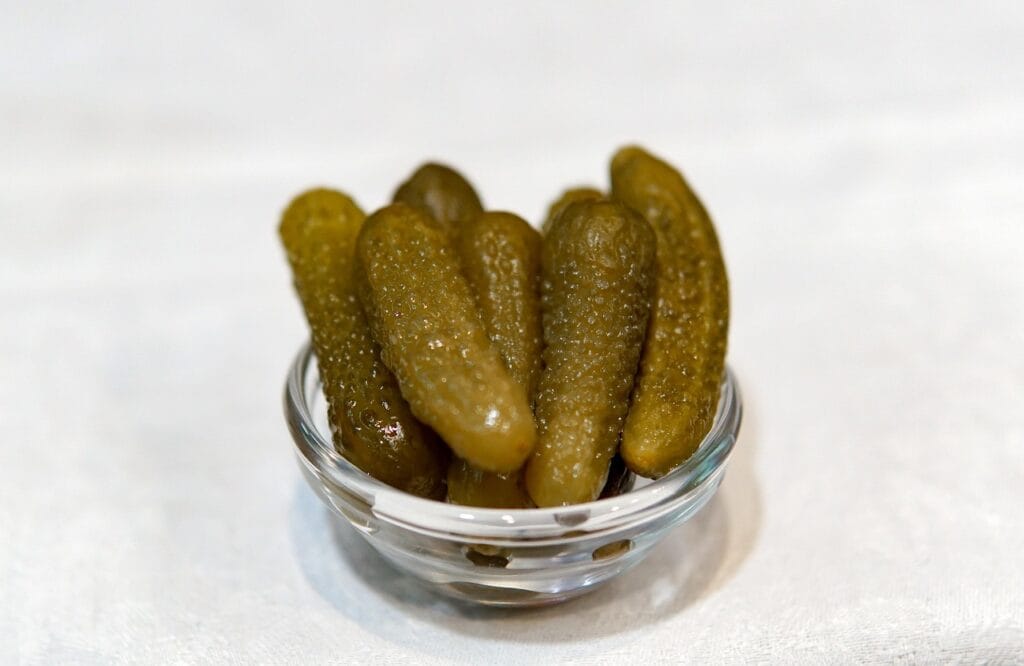 Maladies et ravageurs de cornichon