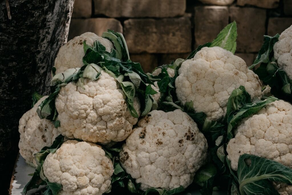 Maladies et ravageurs des Choux